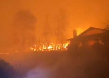 산불 4개 동시 확산 중 …패사디나 이튼캐년 수만명 대피령