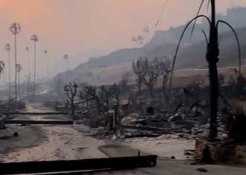 실종자 수색 본격화 … 잿더미 속 말 타고 정밀수색