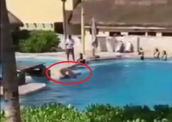 돌고래쇼 중 콘크리트 충돌 사망 … 관람객 “경악”(영상)