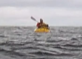 혹등 고래, 카약 타던 남성 삼켰다 뱉어내(영상)