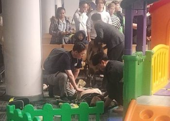 태국공항 응급환자, 한국인 의사·소방관이 살려냈다