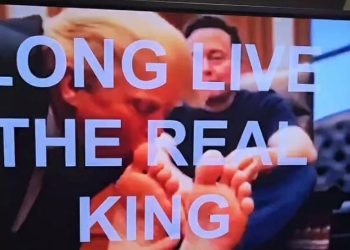 “진짜 왕은 머스크” 연방 청사에 가짜 동영상 등장(영상)