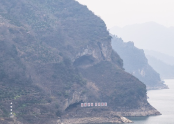 “산에 강아지 눈코입 보여”…사진 한 장으로 인기 폭발