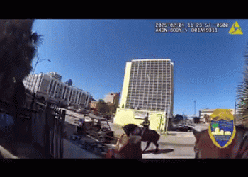 뛰어서 도주하던 마약범 기마경찰에 붙잡혀(영상)