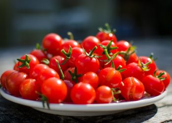 방울토마토·아보카도·데킬라 … ‘관세폭탄’, 미 소비자도 직격탄