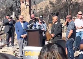 ‘뉴섬 리콜 캠페인’ 배우 멜 깁슨, 주지사 도전하나?