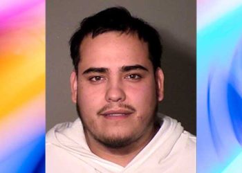 최신 차량만 골라 절도, 차량절도단 LA 남성 체포