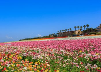 캘리포니아에서 가장 저평가된 숨은 명소는 어디?