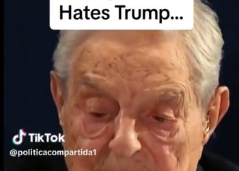 머스크 “반테슬라 시위 배후 있다”… 소로스 지목