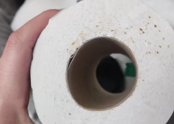 “이런 화장지 보이면 변기 사용 피하는 게 좋다”