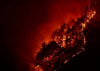한국 산불 대란.. 전국 27건 동시다발, 소방관 2명 사망