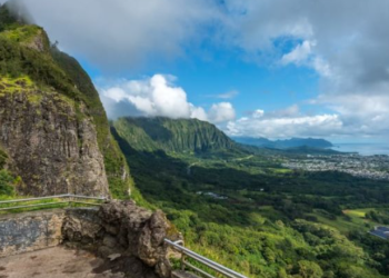 사진 찍기 거부하자…돌로 아내 머리 내려친 미국 의사