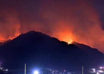 유명인 기부명단 만들고 “쟤는 왜 안 해?”…한국식 폭력 현실