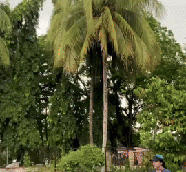 테니스 코트에 벼락 ‘쾅’ … 가까스로 목숨 건져(영상)