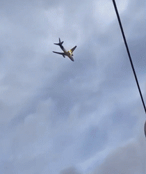 조류충돌 페덱스 화물기 엔진 불꽃, 비상착륙(영상)