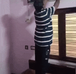 가정집 에어컨 오랜만에 켰더니…뱀 우글우글(영상)