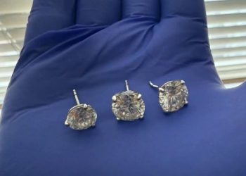 도둑이 삼킨 100만달러 귀걸이, 배변 2주 기다려 회수