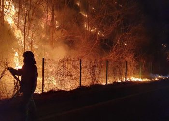 “기부 취소합니다”… 산불 재앙에도 진영 다툼 한국 현실