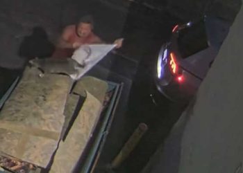 부상 당한 고양이 쓰레기통에 버린 비정한 주인(영상)