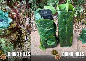 주택가 몰카 얼마나 퍼져있을까 … 또 빈집털이용 몰카 발견