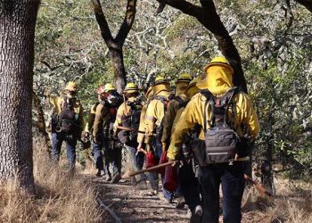 뉴섬 주지사, 산불 시즌 앞두고 비상사태 선포