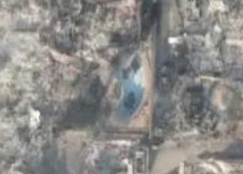 LA 산불피해 주택 수영장서  모기 창궐 위험