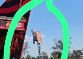 한국 아이돌그룹 출연 멕시코축제서 2명 사망