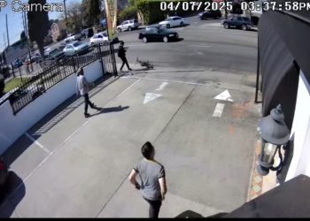 “누가 살해하려 했나” … 자전거 탄 10대, 고의 뺑소니 당해(영상)