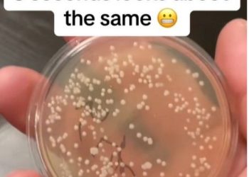 ‘5초 법칙’의 배신…”떨어진 음식, 단숨에 세균 범벅”