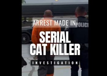 오렌지카운티 ‘시리얼 캣 킬러’ 잡혔다 … 반려묘 유인, 납치,살해