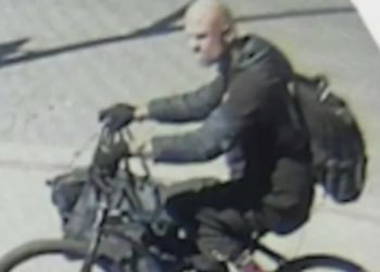 가로수 절단 테러범 잡혔다 … 복구에 35만 달러 소요