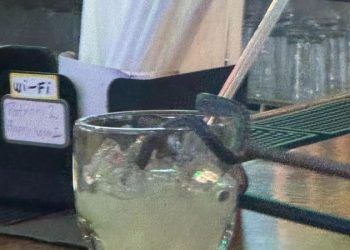 OMG!!!  레스토랑 천장서 뱀이 … “이마 맞고 술잔 쏙”