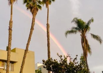 [포토뉴스] LA 한인타운에 뜬 선명한 무지개