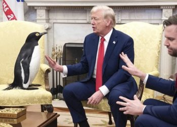 ‘트럼프에 따지는 펭귄’ … 무인도 관세에 조롱 밈 확산