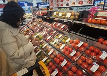 토마토가 몸에 좋은 5가지 이유…”아하, ‘이것’ 때문이구나”