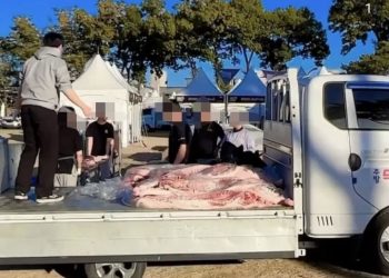 또 백종원 인가?  “섭씨 25도 햇빛에 생고기 방치” … 또 위생논란 휩싸여