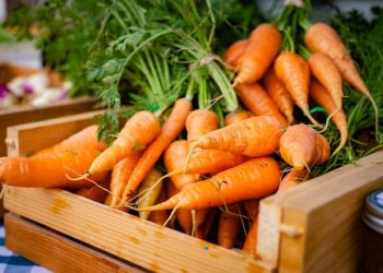 당근·늙은호박·시금치 속 노화막는 ‘이것’ , 암도 예방