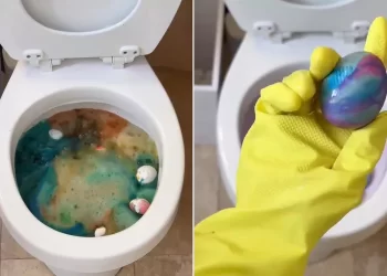 변기에 ‘부활절 달걀’ 염색 … 인플루언서 뭇매