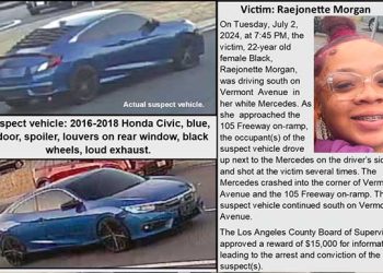 프리웨이 인근 버몬트길서 묻지마 차량 총격 … 여성 운전자 사망