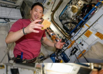 한인 우주인 조니 김 “우주서 고추장 버거 먹어요”