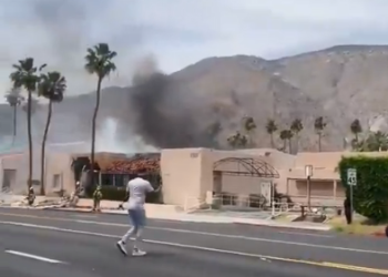 숨진 폭탄테러범, ‘반출생주의자’ … “사람은 더 태어나선 안 된다”
