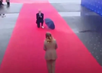 알바니아 총리가 이탈리아 총리에게 무릎 꿇은 사연