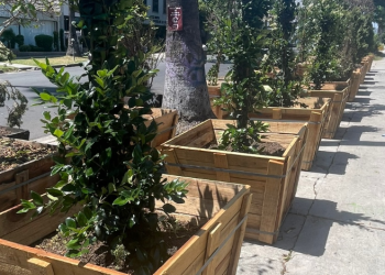 “여기선 못 자!” … 홈리스에 지친 LA 주민들, 바위·노래·화분 총동원 거리 장벽 설치