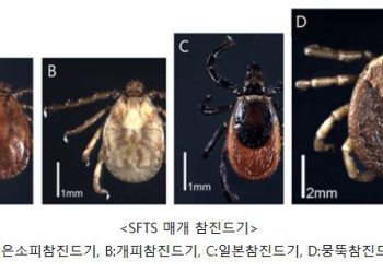 “백신·치료제도 없다”…’캠핑 불청객’ 살인진드기 주의보