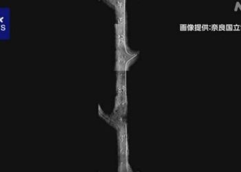 1600년전 백제가 일본에 하사한 ‘칠지도’의 놀라운 현재상태