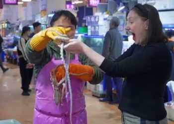 CNN, 노량진 수산시장 소개 … “기자도 반한 산낙지”