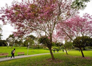 UC 어바인 캠퍼스 산책 여학생 성폭행 ..용의자 수색 중