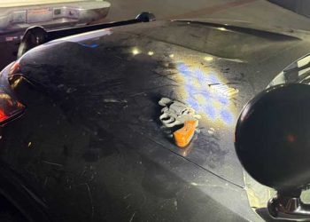 UCLA 캠퍼스에서 불법 총기 발견