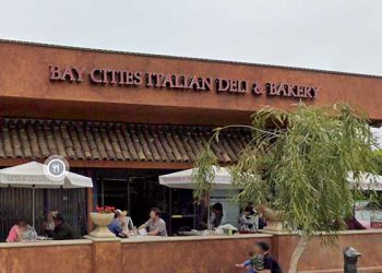 ” 바퀴벌레 득실대는 식당들” … 맛집들 줄줄이 영업정지 충격