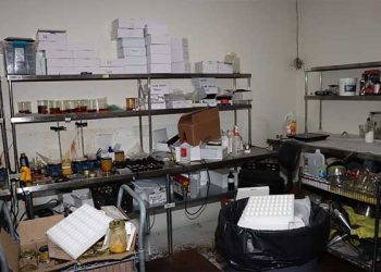 OC서 840만달러 상당 대규모 불법 마리화나 적발